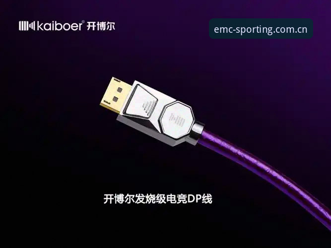 EMC Home电竞数据表格选择教程：从入门到精通的决策指南